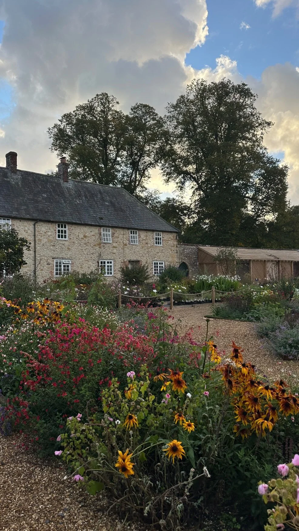 Literally my all time fave breakfast. I make this at least 2 times in...