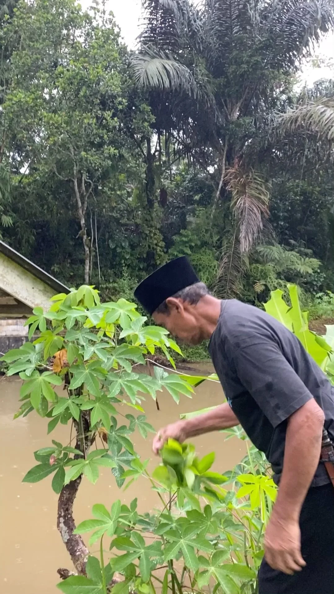 Petik sayuran lanjut makan malam di rumah panggung dan yang pasti mak...