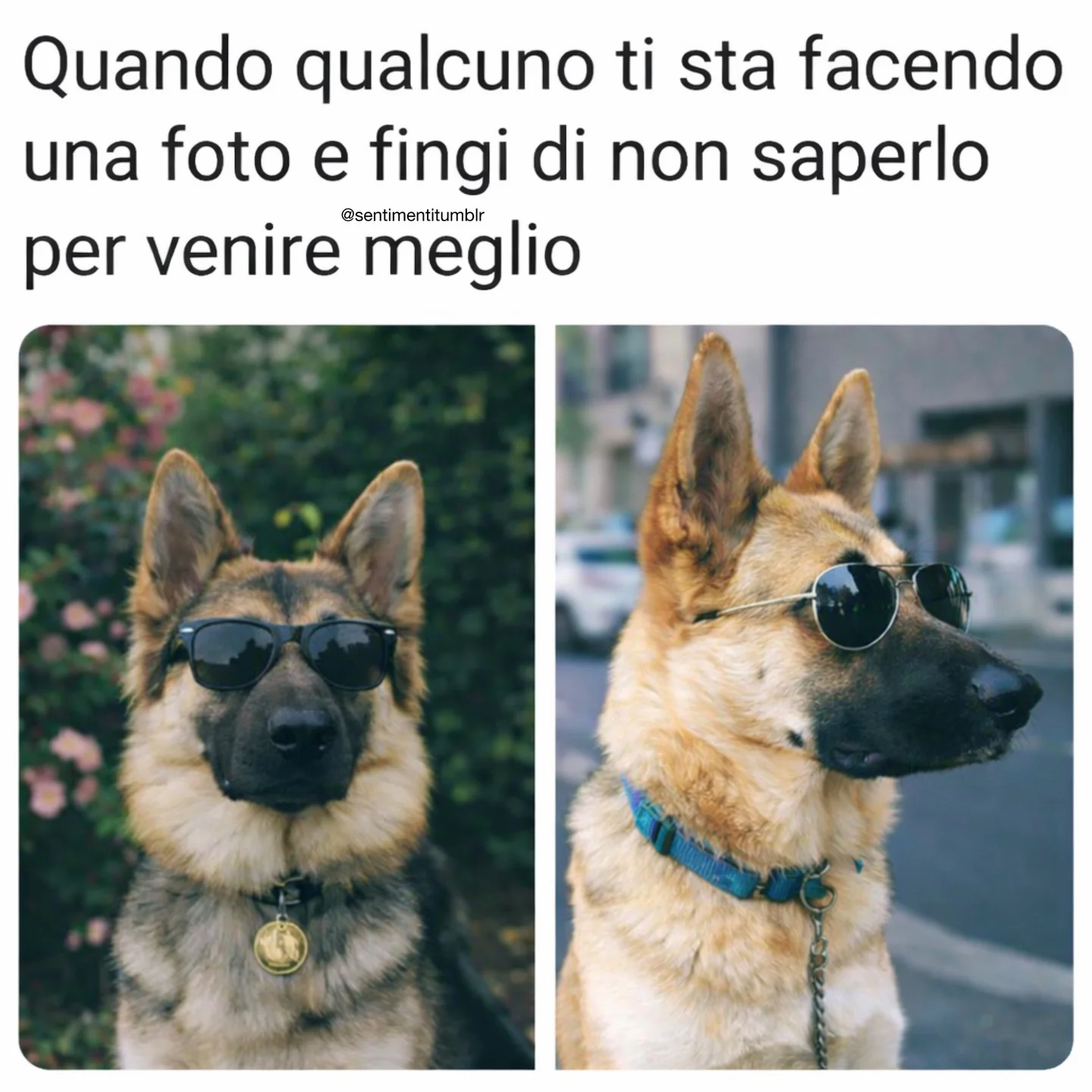 Per altri contenuti @amami ❤️⁣⁣⁣⁣ Lascia un ❤️ e un 💬⁣⁣⁣⁣ Attiva le...