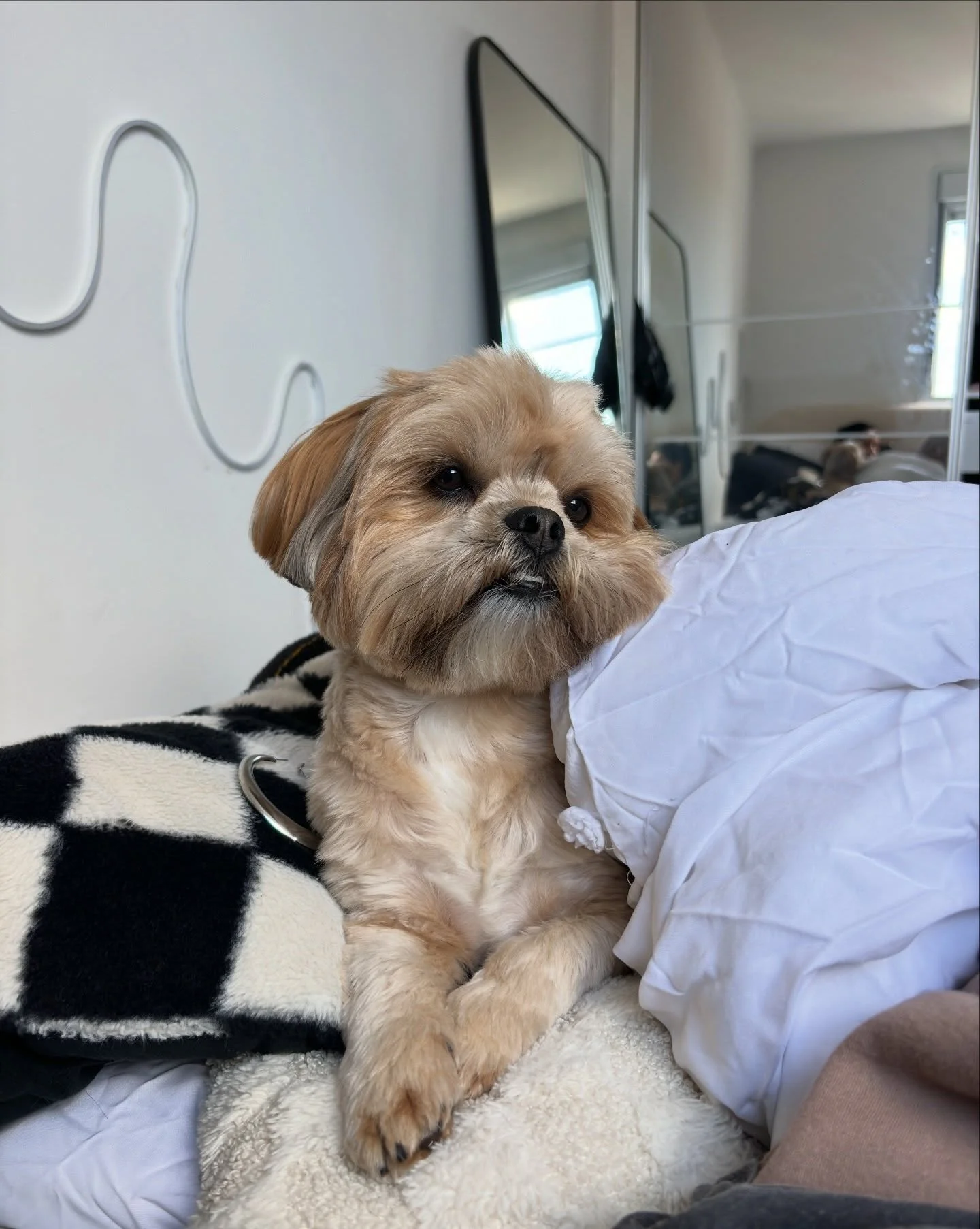 3 anos do meu melhor amigo 🤍 te amo Nickinho