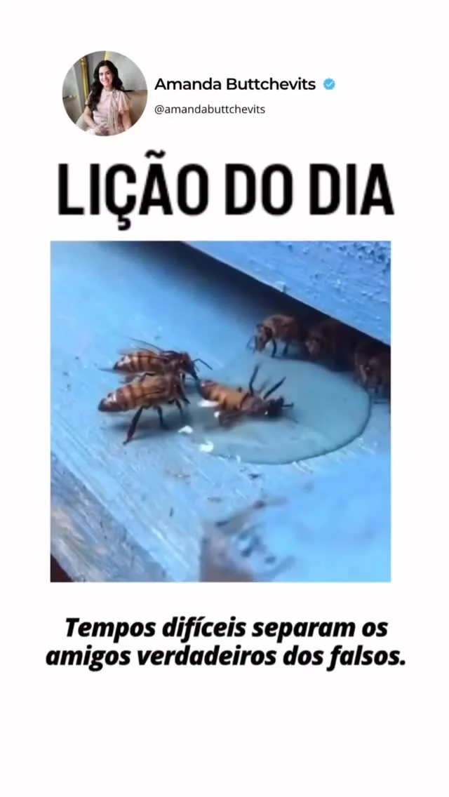 Enquanto tudo está bem, é fácil estar cercado de pessoas. Sorrisos sã...