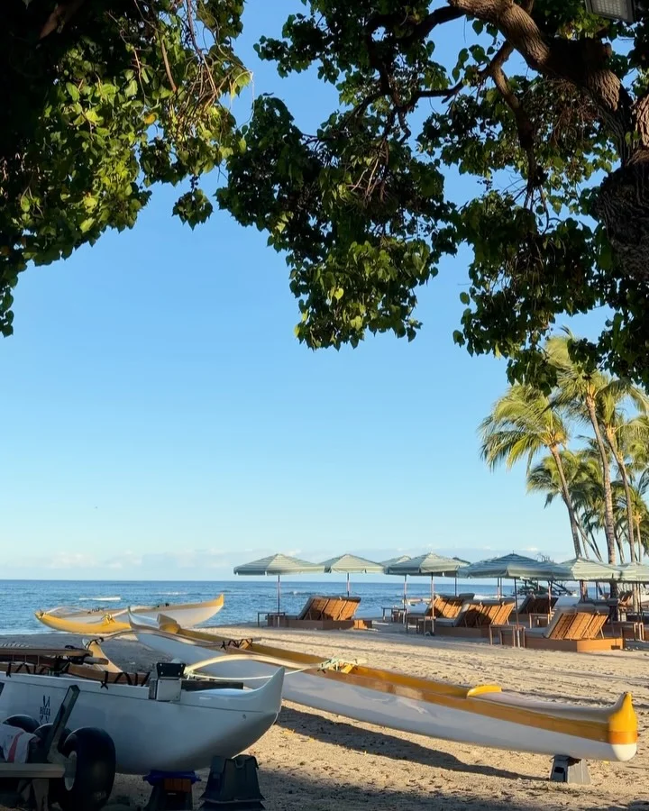 This week at Milo Tree Lawn, move with @amandakloots for her signatur...