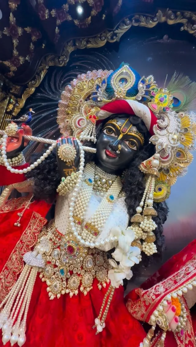 मेरी लगी श्याम संग प्रीत #reelshreeradhegovind_dham