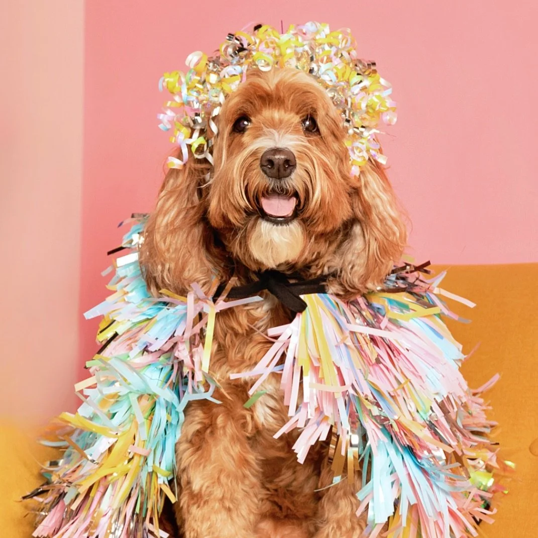 @amazinggraciedoodle