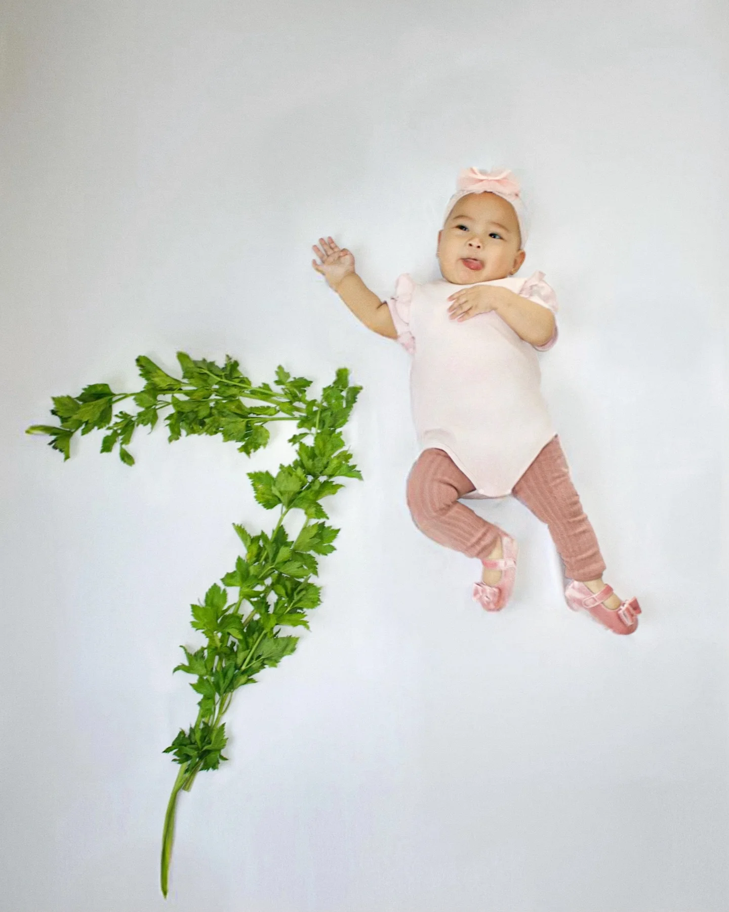 Tema daun sop karna hampir setiap hari masak MPASI pakai daun sop sup...