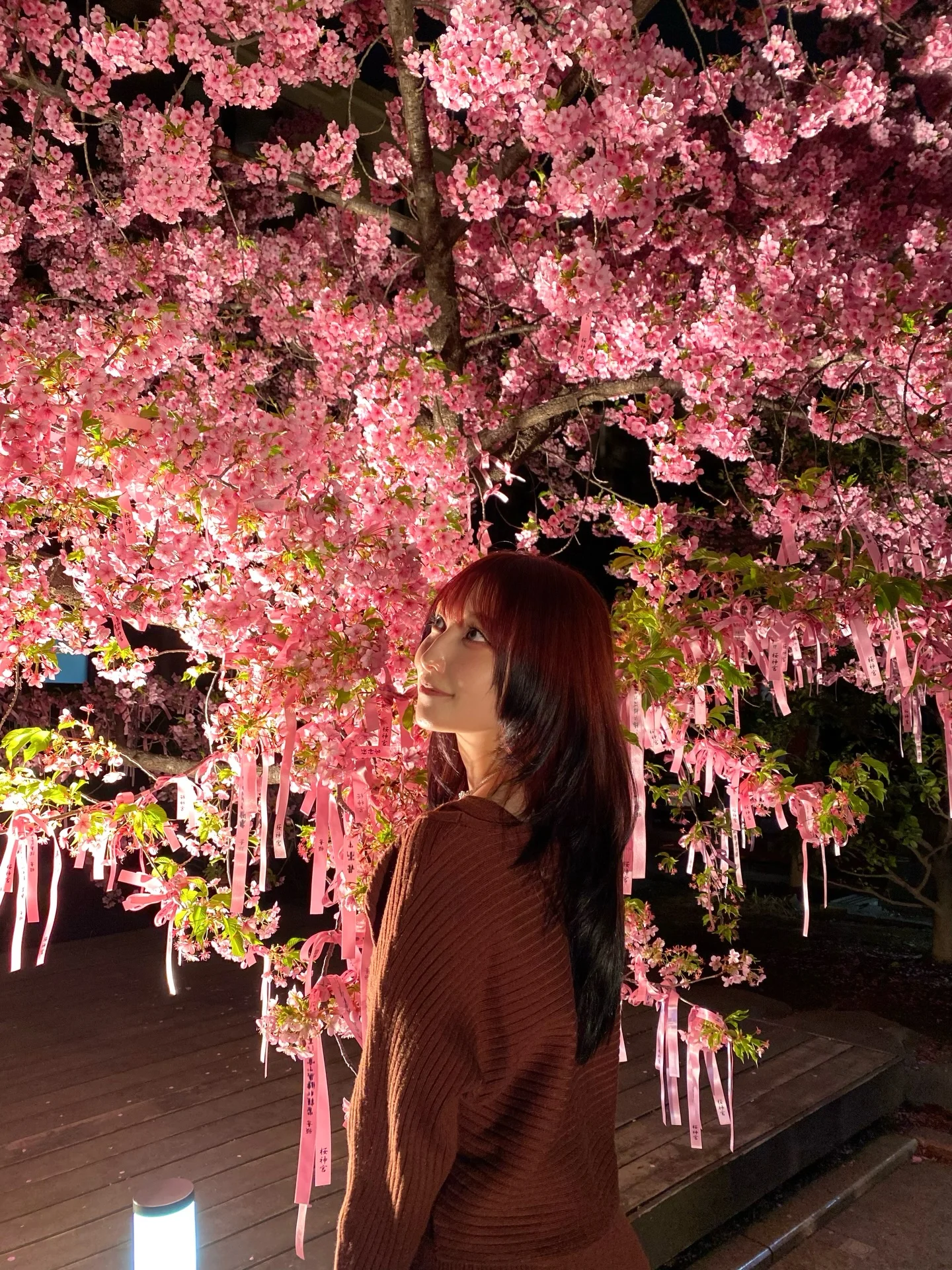 桜、一気に咲き始めたね〜☺️🌸 #桜 #春 #🌸