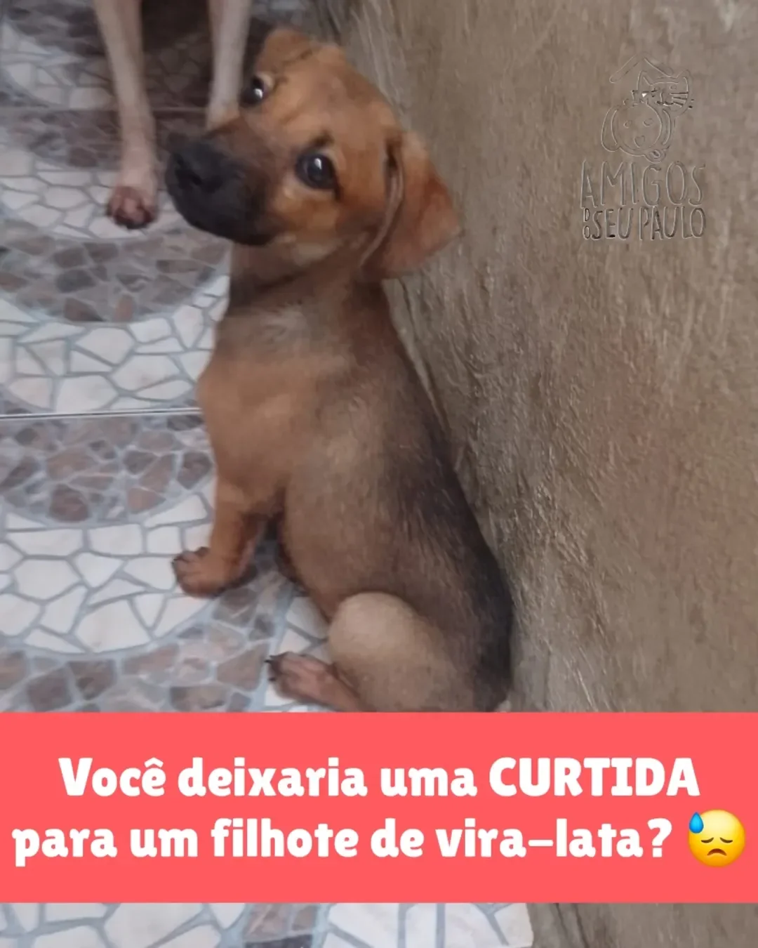 Cada curtida pode parecer pequena… mas pra gente, ela significa MUITO...