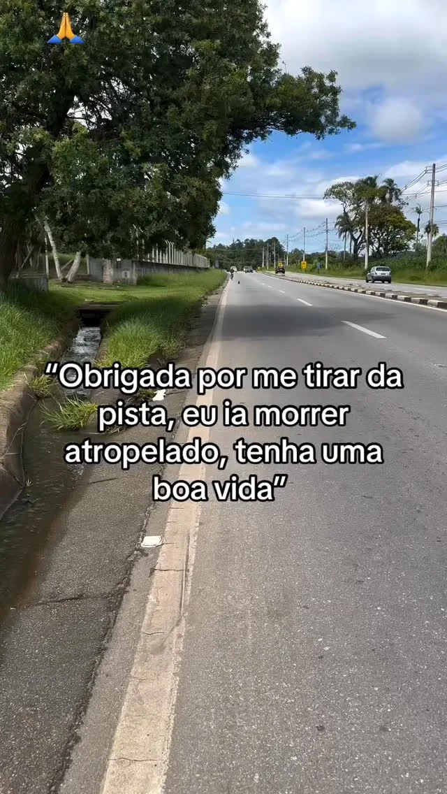 O amor salva e muda vidas. Frederico foi uma dessas vidinhas.🐕💙 Par...