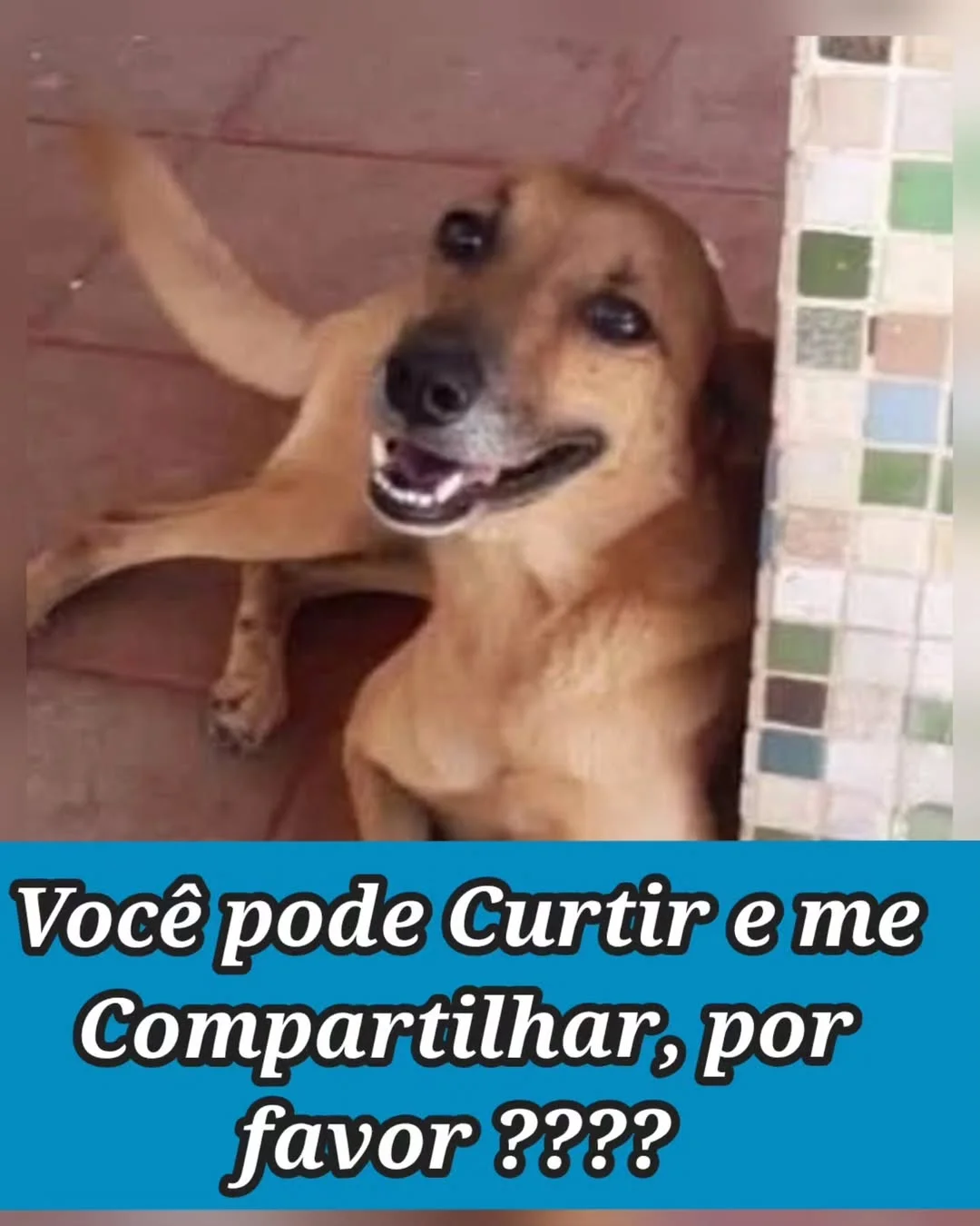 PRECISAMOS DA SUA #CURTIDA E #COMPARTILHAMENTO. ✨🐾 ASSIM NOSSAS PUBL...