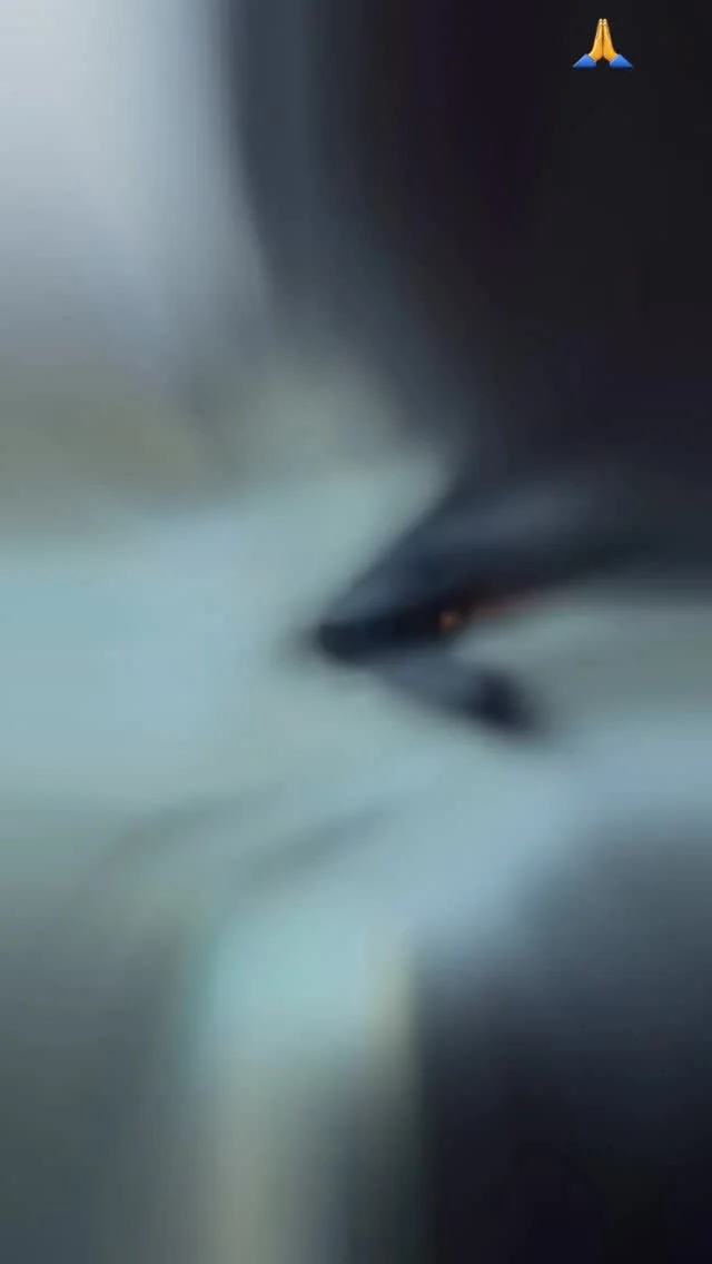 É gratificante salvar vidas. Parabéns Heitor por ter salvo o Lucky ....