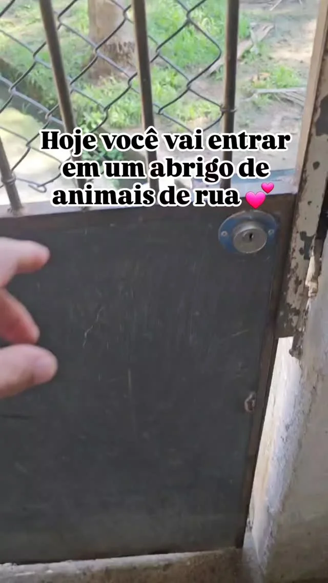 Um pouquinho do nosso abrigo 💕 Deixe uma curtida ou comentário para...