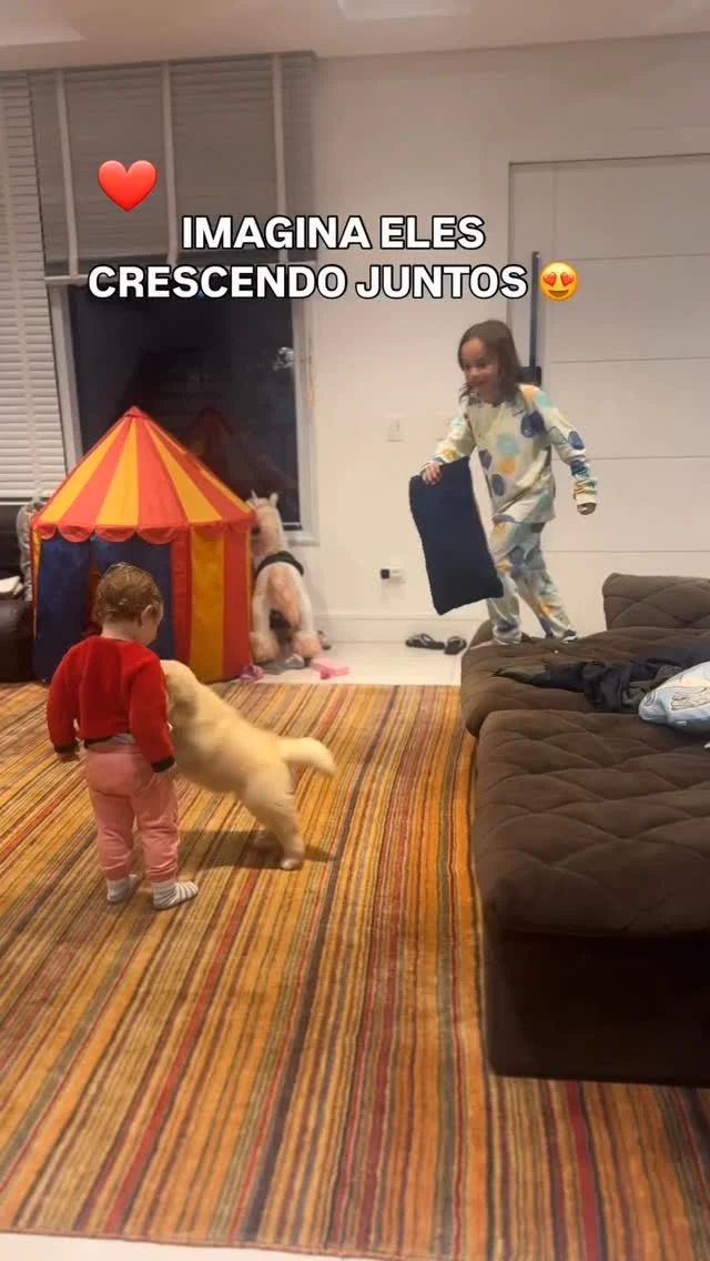 Perfeição, anjos brincando. (Aumenta o som) 🐕😍💕😀✨ Créditos do víd...