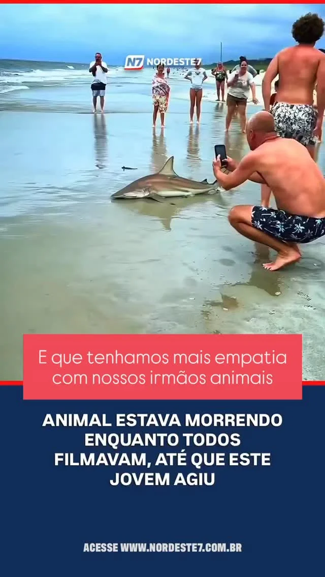 😔 A frieza humana diante da dor alheia é algo que entristece profund...