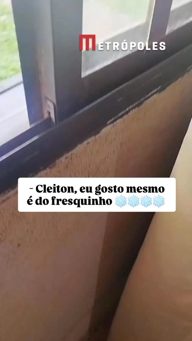 🐾❄️ Sol lá fora… conforto dentro de casa. O cachorro até ficou no qu...