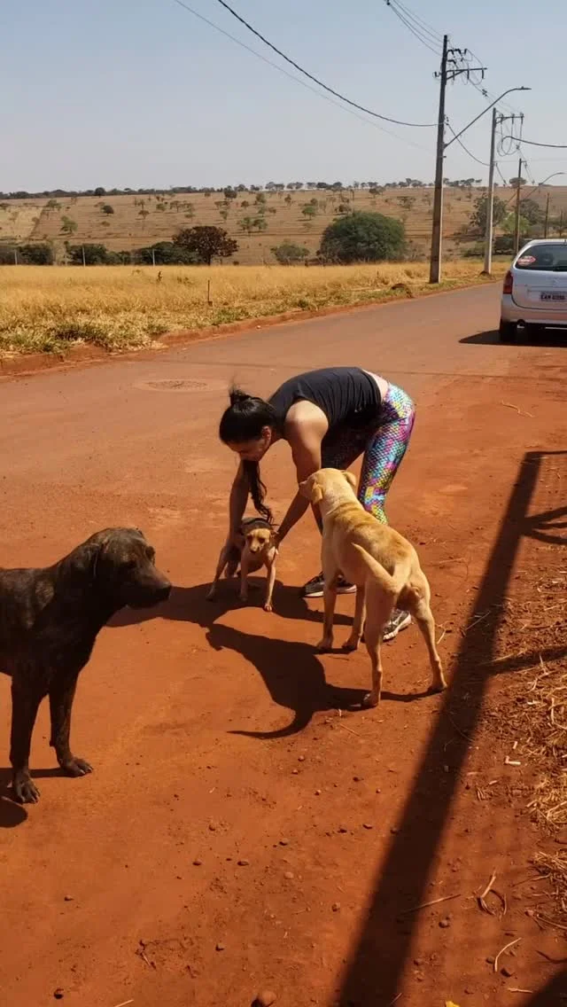 Lindo texto de um pastor bem sábio, que explica que o dever de casa n...