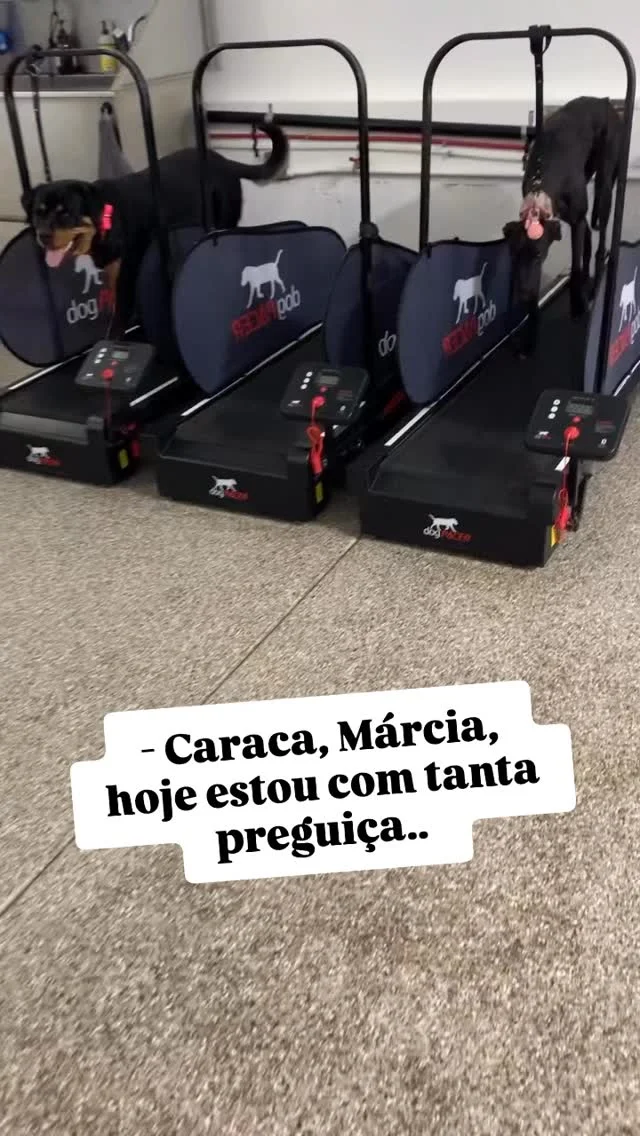 Está pago ou não, o treino ? ✅ Ou ❌