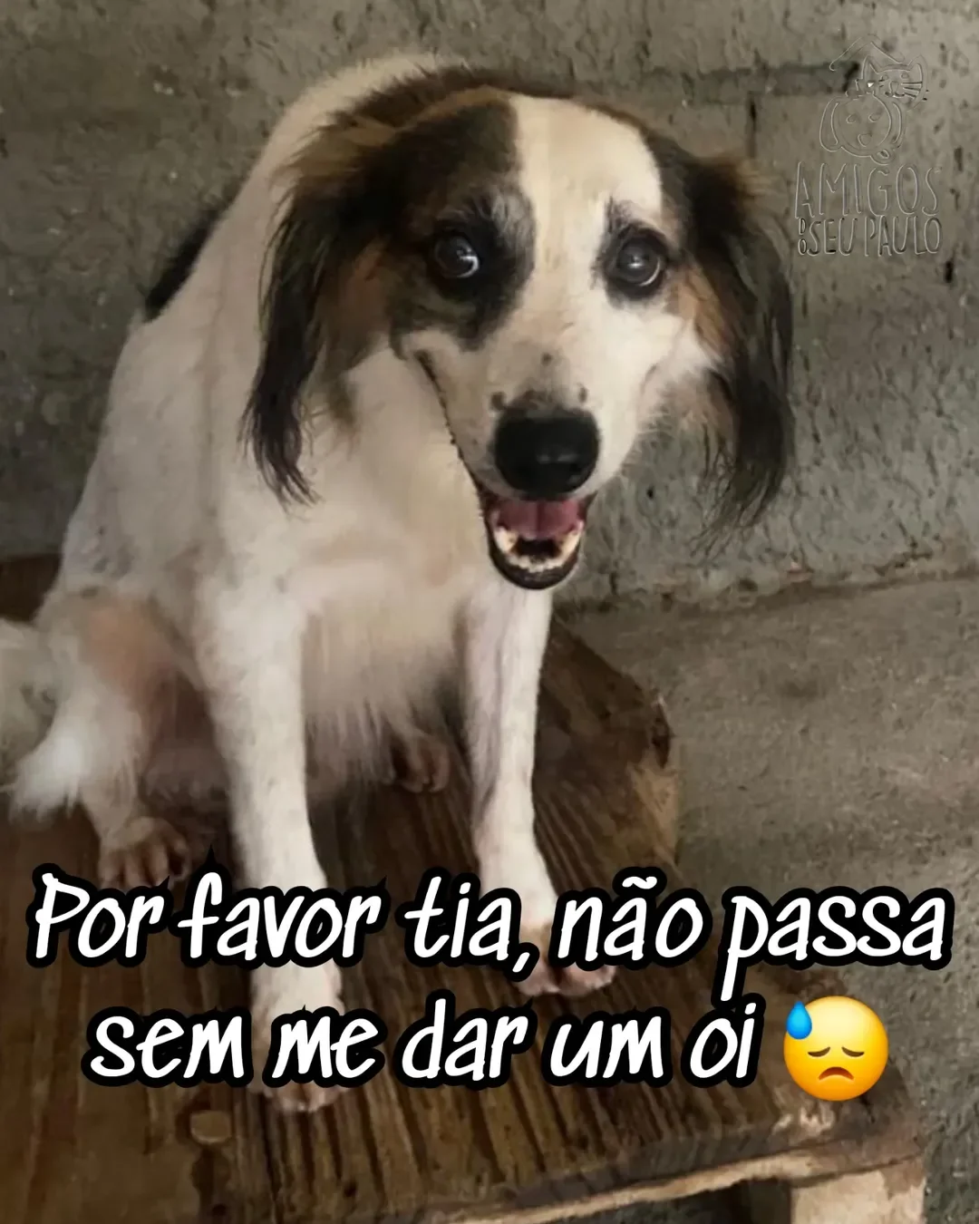 ATENÇÃO! URGENTE! 😓 Estamos enfrentando um dos momentos mais difícei...