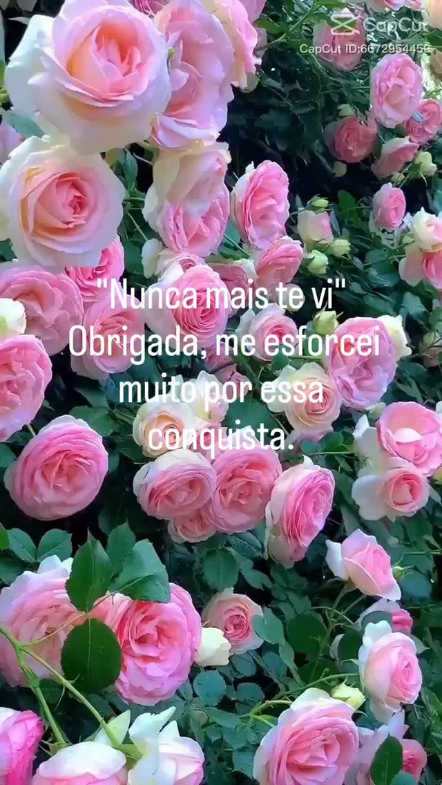 Desaparecer de certos lugares não foi acaso, foi escolha, foi estraté...