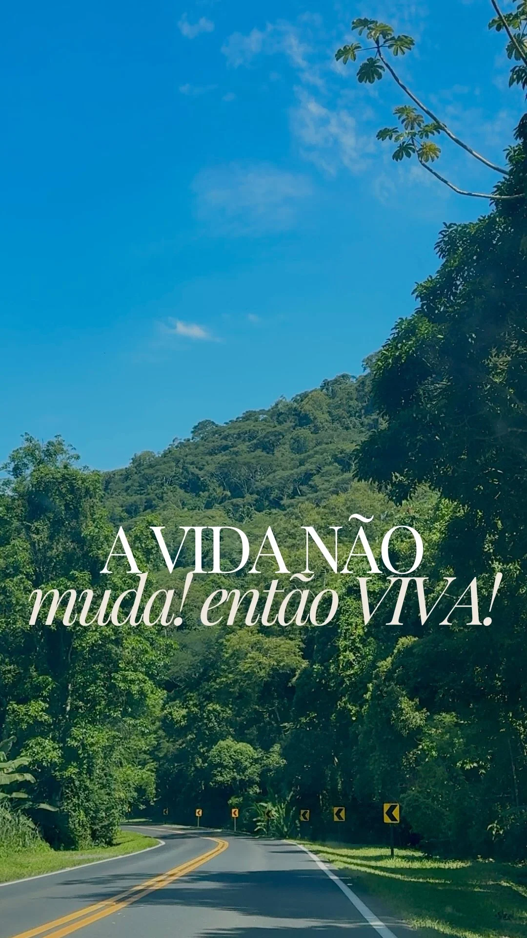 Existe vida para além do que você pensa. Nem todo pensamento é um fat...