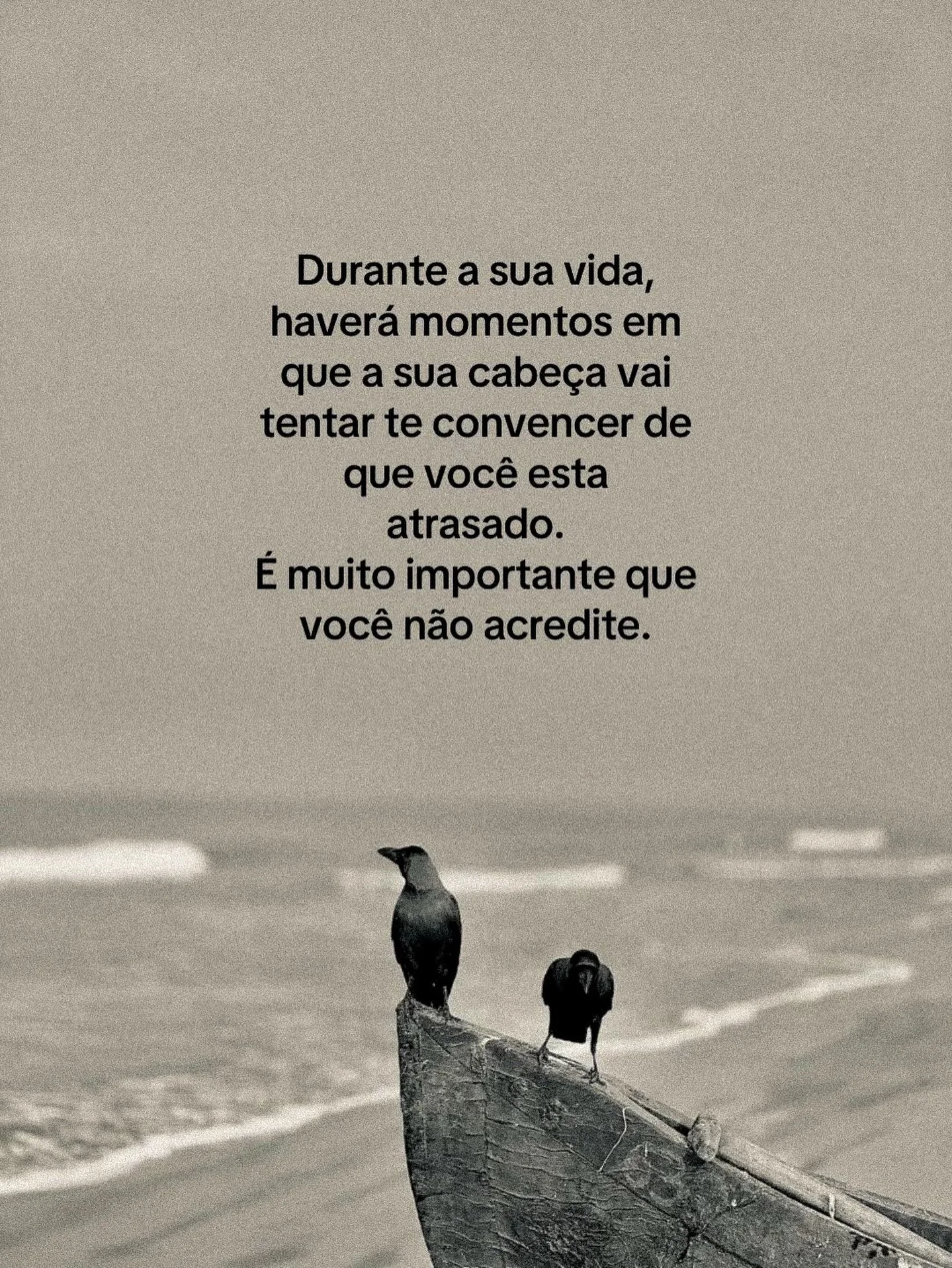 é importante que você não acredite ✨